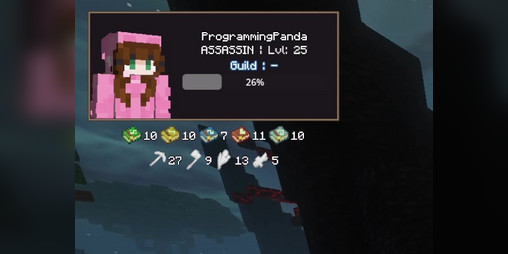 Cover image for Wynncraft Player Overlay