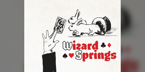 Cover image for Wizard Springs