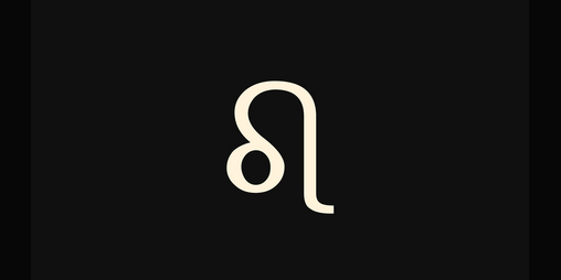 Cover image for leo