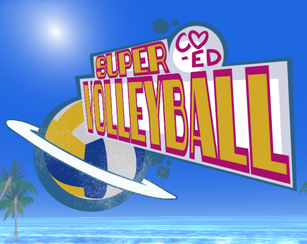 Cover image for Super Co-Ed Volleyball