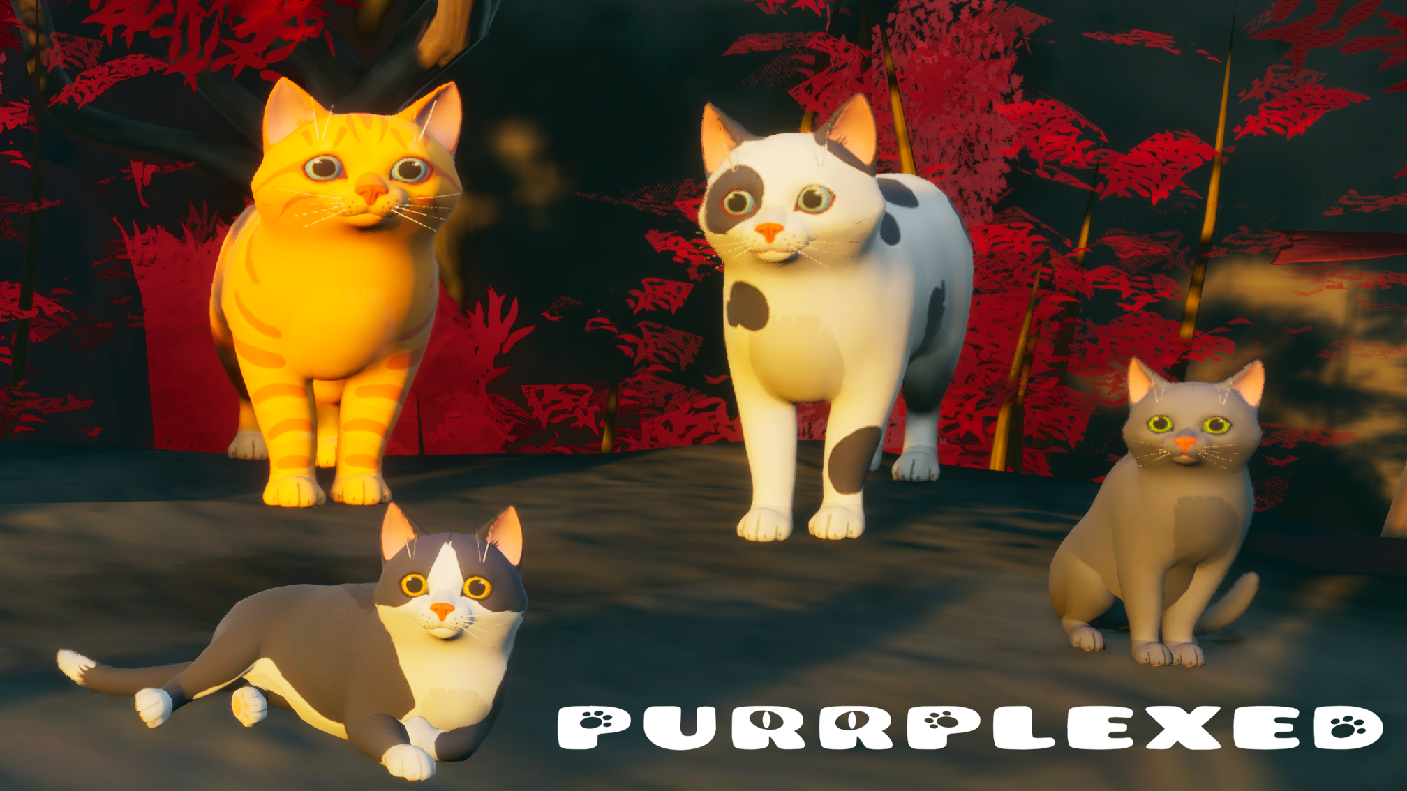 PURRPLEXED