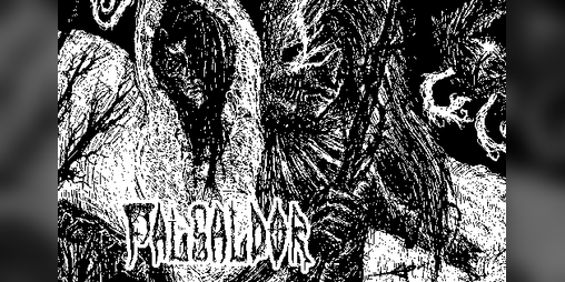 Cover image for Falsaldor