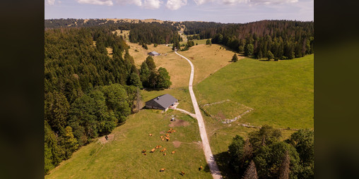 Cover image for Un printemps dans l'automne du monde