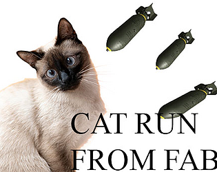 CatRunFormFAB