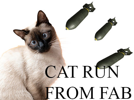 CatRunFormFAB cover