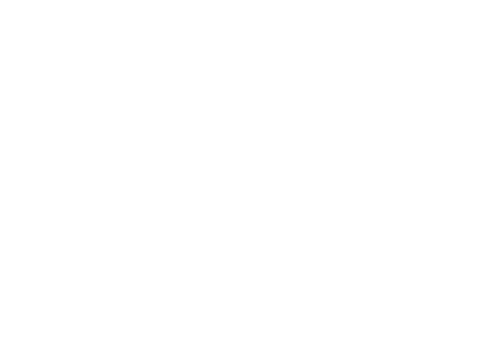 Rogue Knight