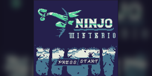 Cover image for Ninjo Misterio