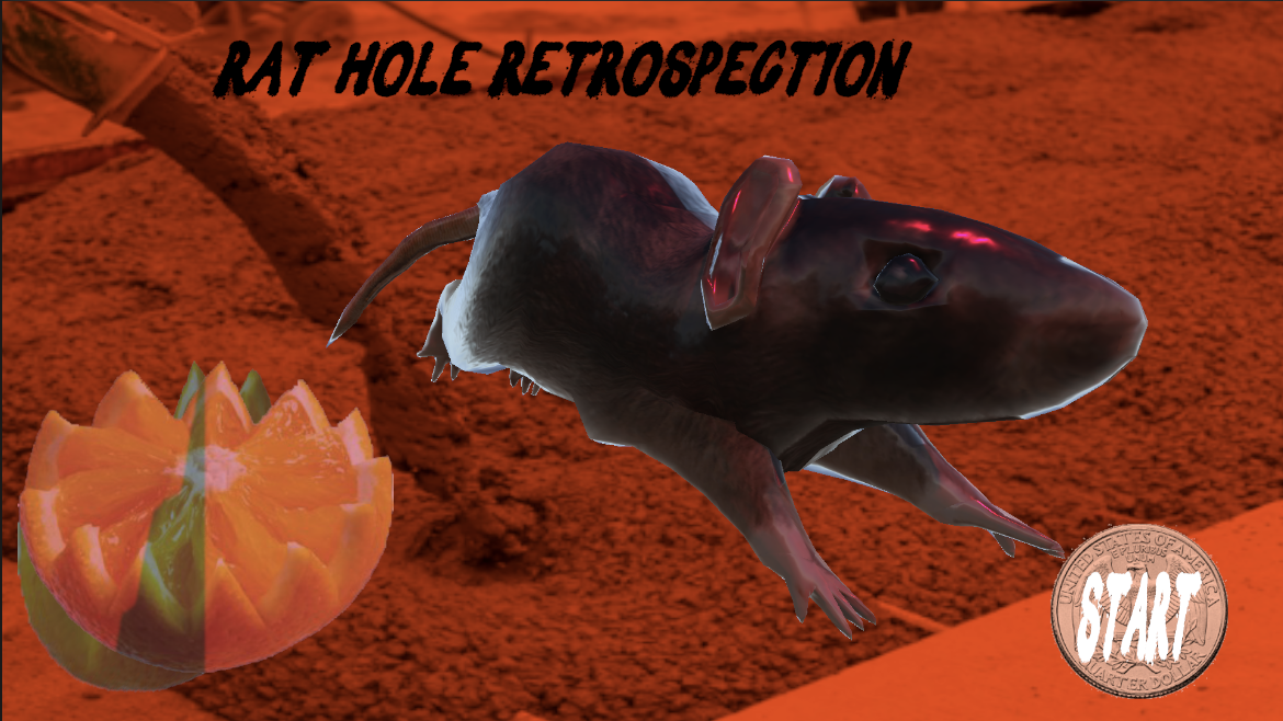 Rat Hole Retrospection by Nichole Shinn