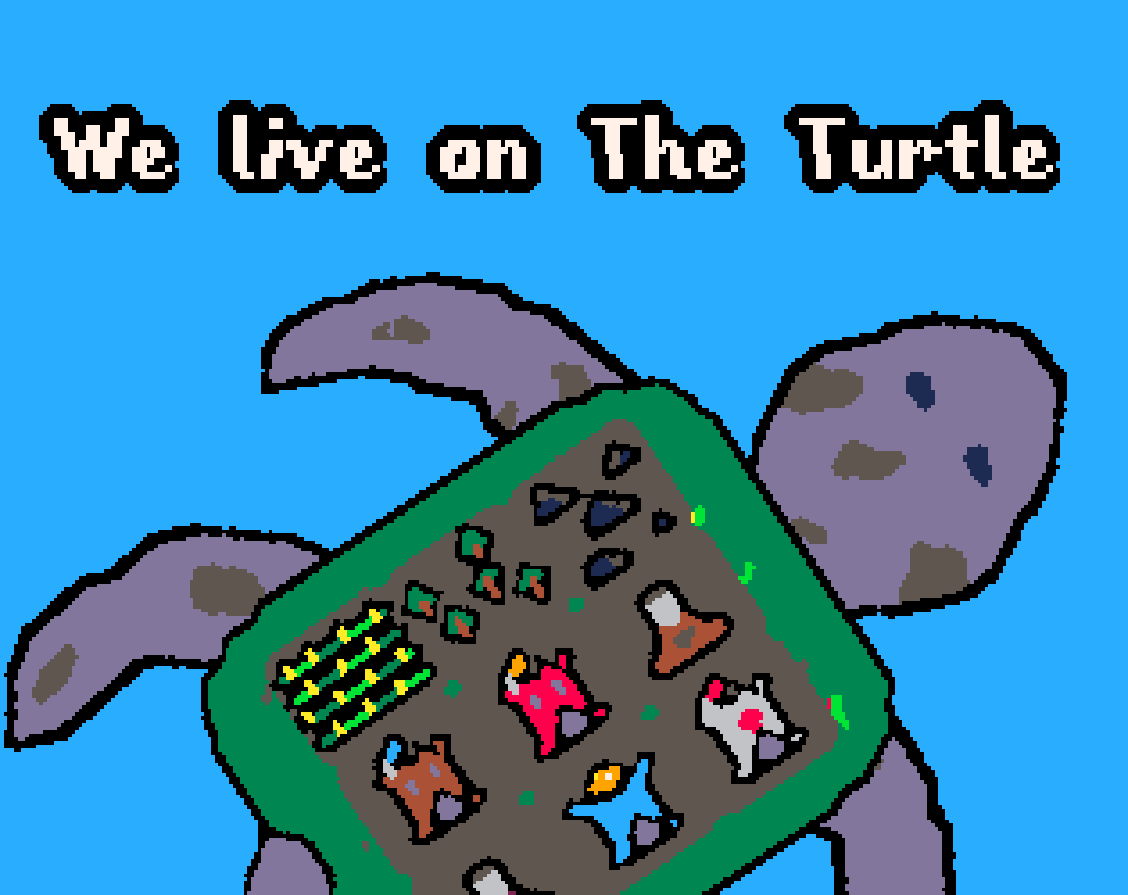 We live on The Turtle