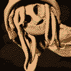 Cover image for Calcification