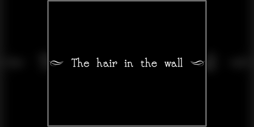 Cover image for The hair in the wall