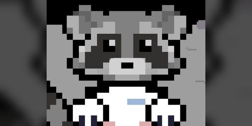 Cover image for Moon Raccoon