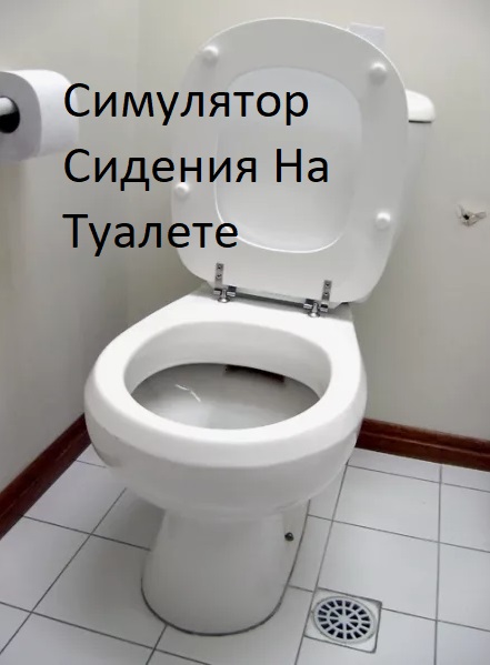 Симулятор Сидения на туалете