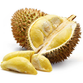 durian.jpeg