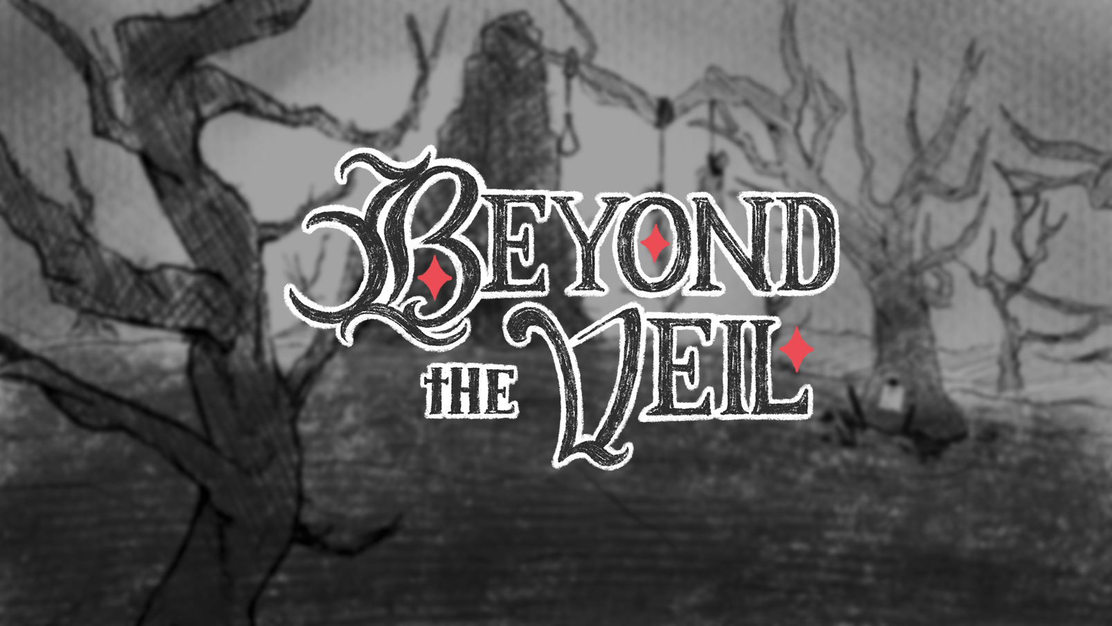 Cover image for Beyond the Veil