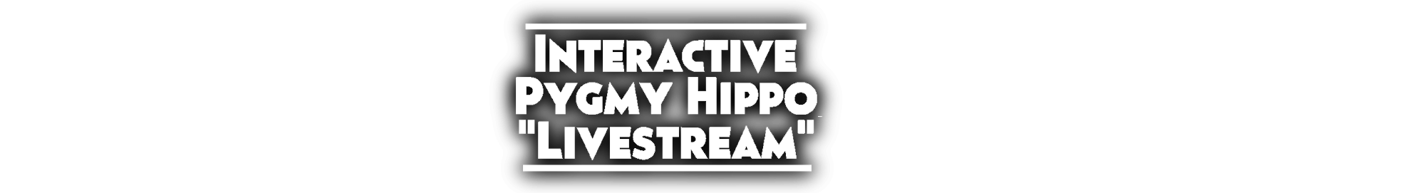 Interactive Pygmy Hippo "Livestream" - Moo Deng Tribute