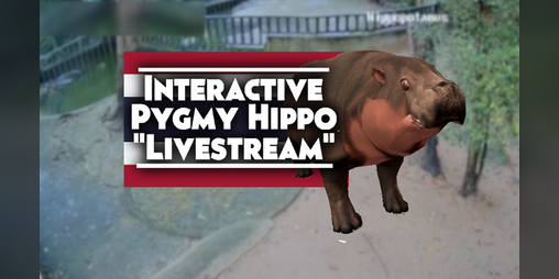 Cover image for Interactive Pygmy Hippo "Livestream" - Moo Deng Tribute