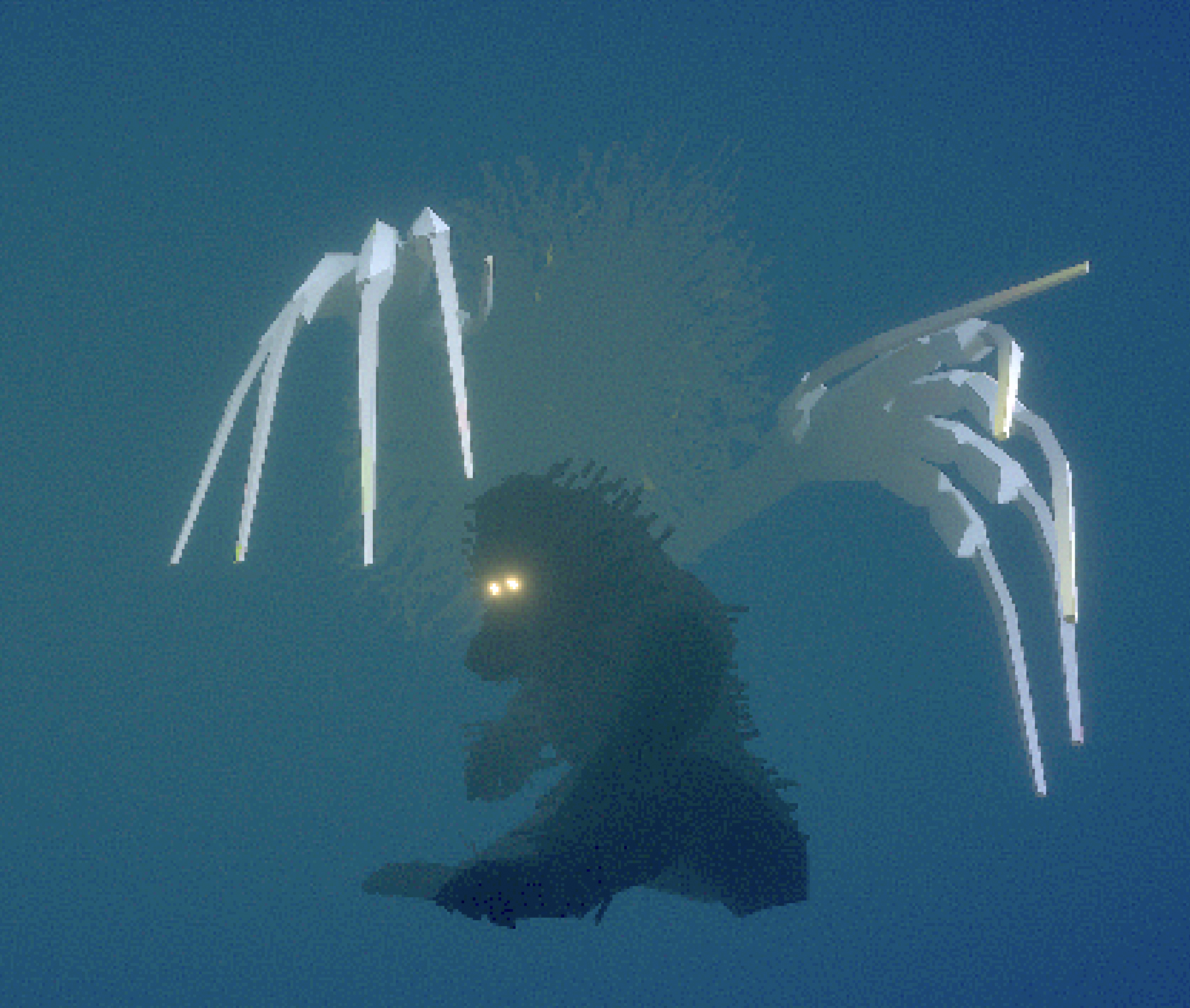 Cover image for The Monkey's Paw