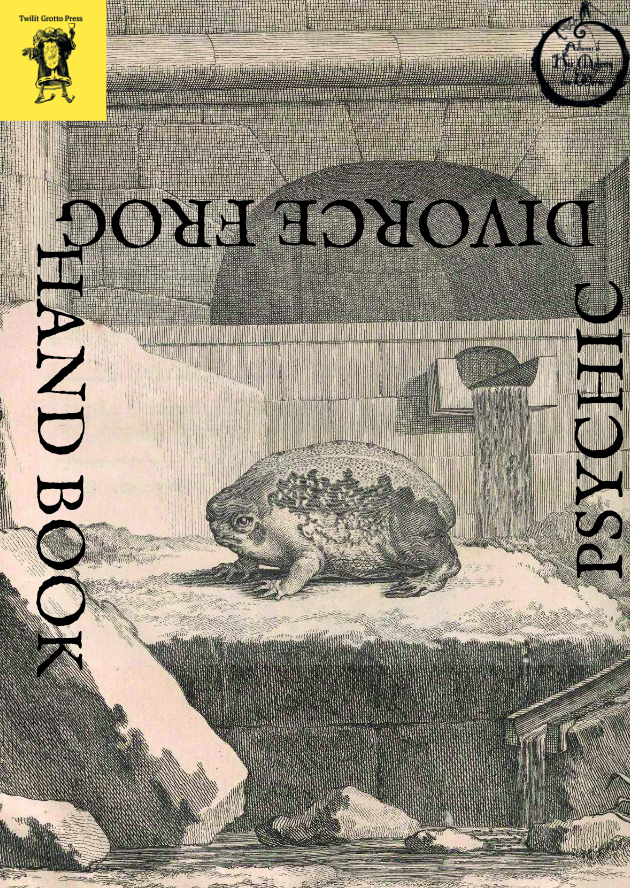 Cover image for The Psychic Divorce Frog Handbook