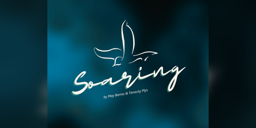 Cover image for Soaring