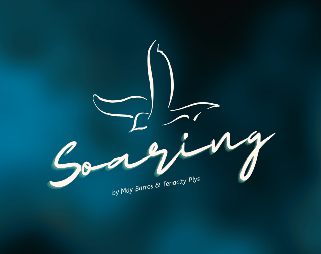Cover image for Soaring