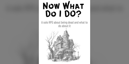 Cover image for Now What Do I Do?