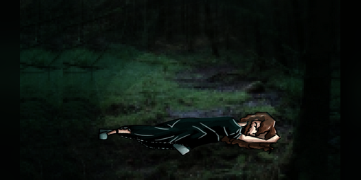 Cover image for Twilight Forest