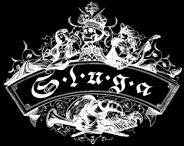 Cover image for Sluga