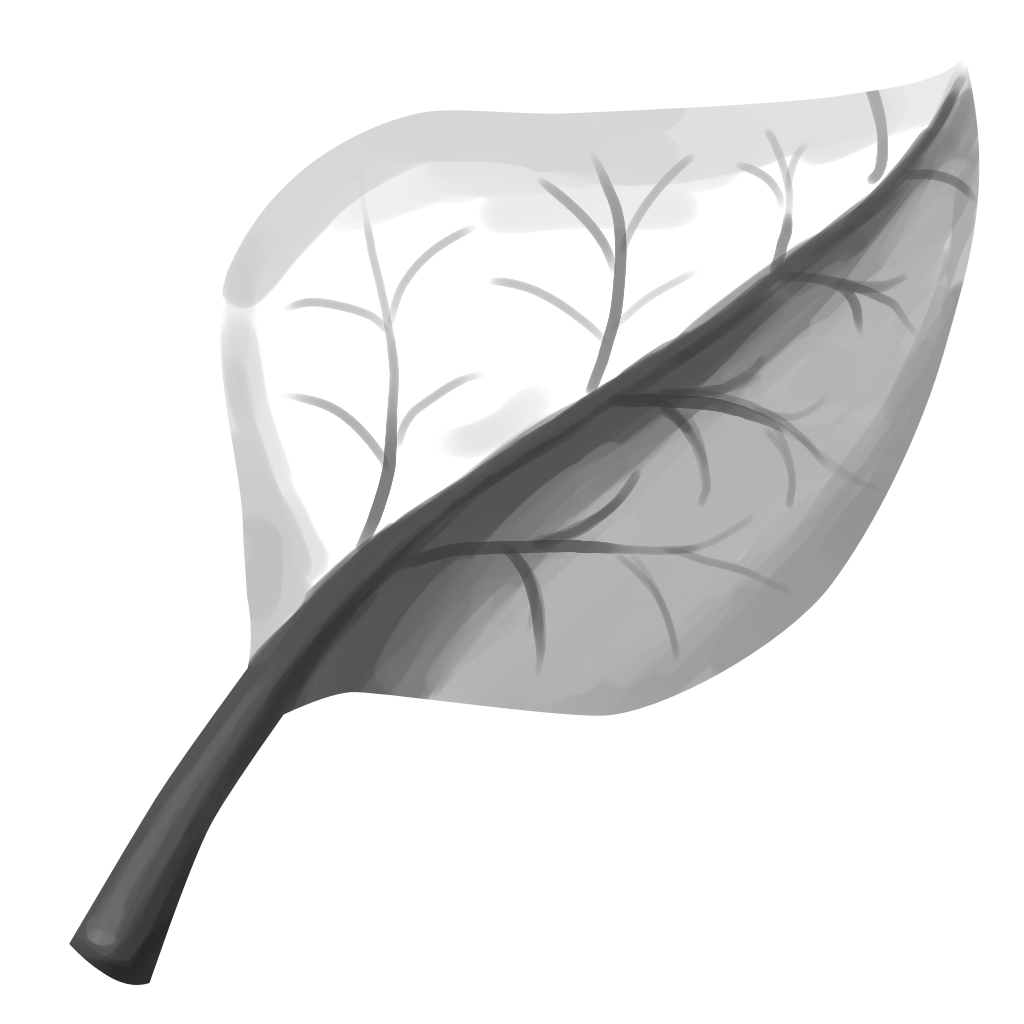 20241002-leaf.png