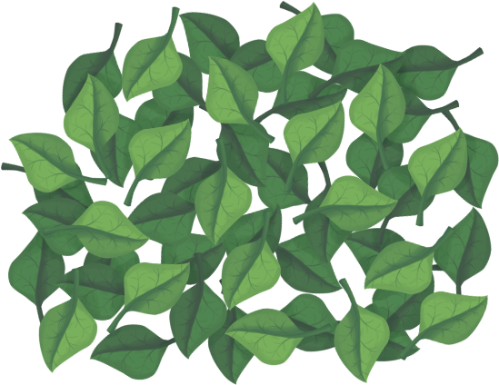 leaf pile summer.png