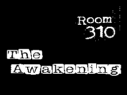 Room 310: The Awakening (2024)