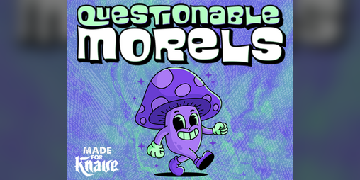 Cover image for Questionable Morels