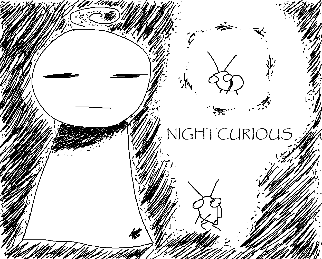 Cover image for NIGHTCURIOUS