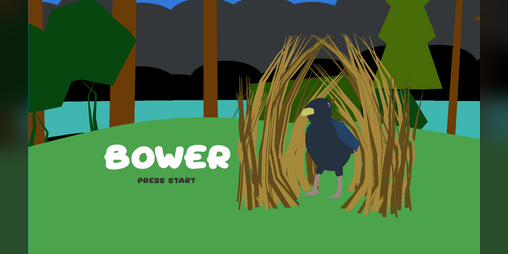 Cover image for Bower