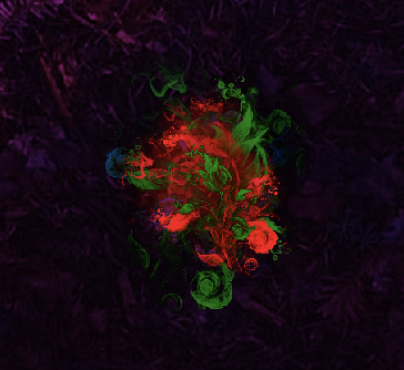 Will Of The Wisp