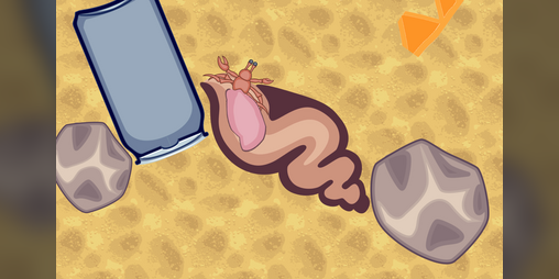 Cover image for Hermit