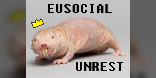 Cover image for Eusocial Unrest