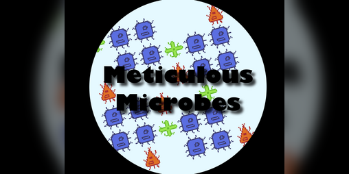 Cover image for Meticulous Microbes