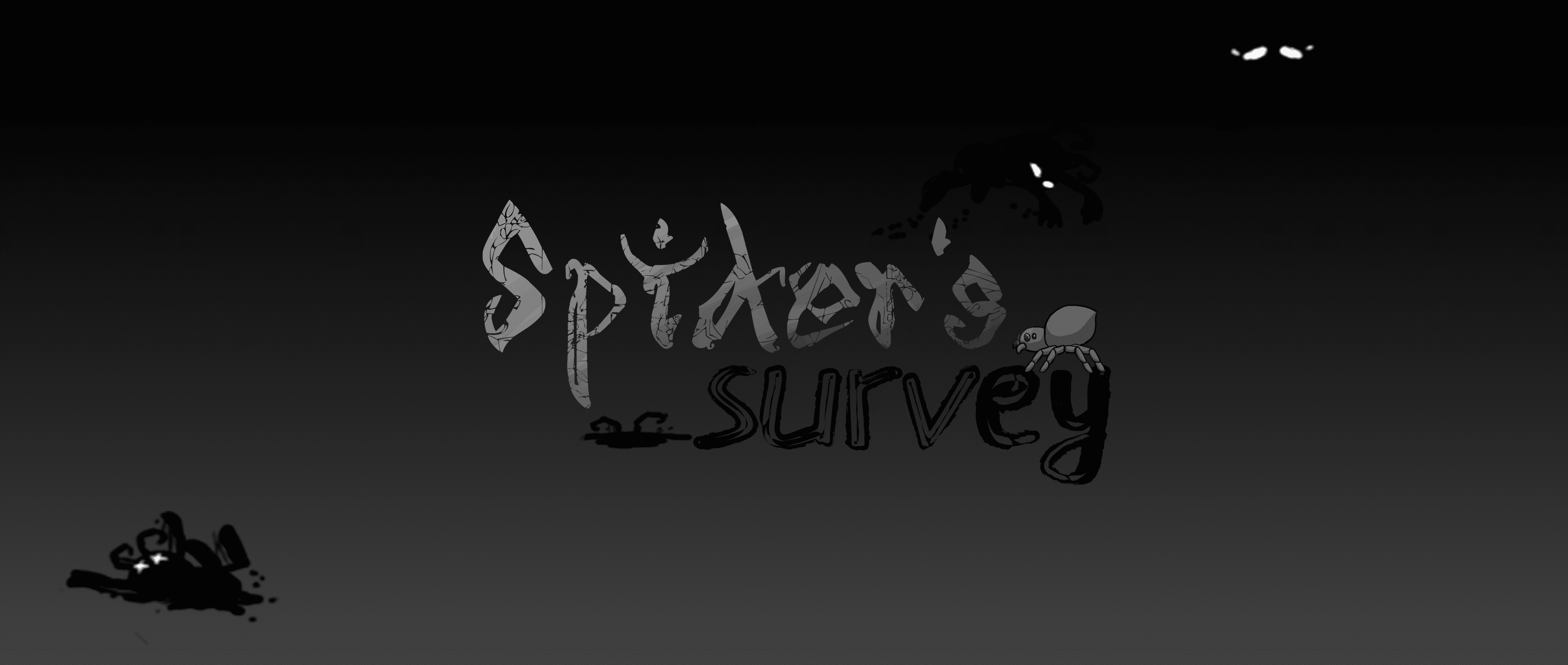 Spider's survey