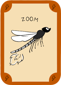 Zoom Card