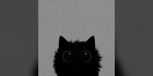 Cover image for Purrfect Drift