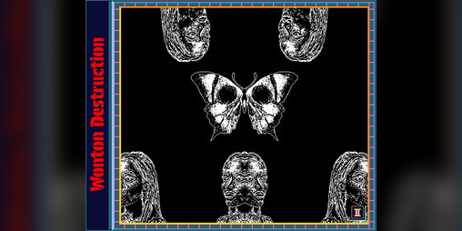 Cover image for Wonton Destruction