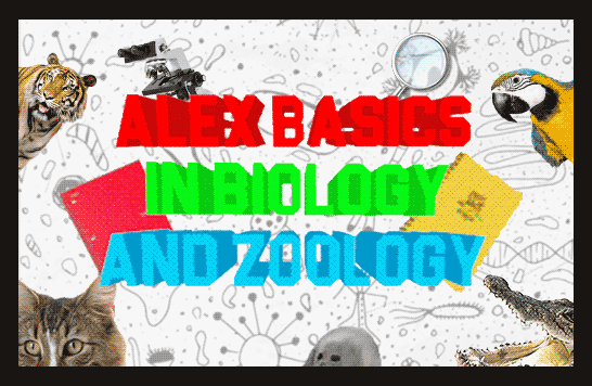 Comments 94 To 55 Of 140 Alex Basics In Biology And Zoology By S Pider Dev - roblox basic in nature and studio alex basic mod by