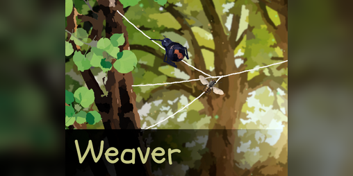 Cover image for Weaver