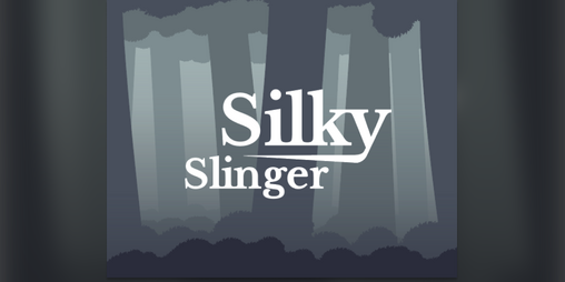 Cover image for Silky Slinger