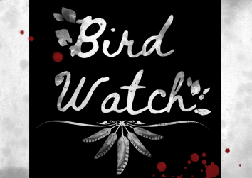 Cover image for BirdWatch