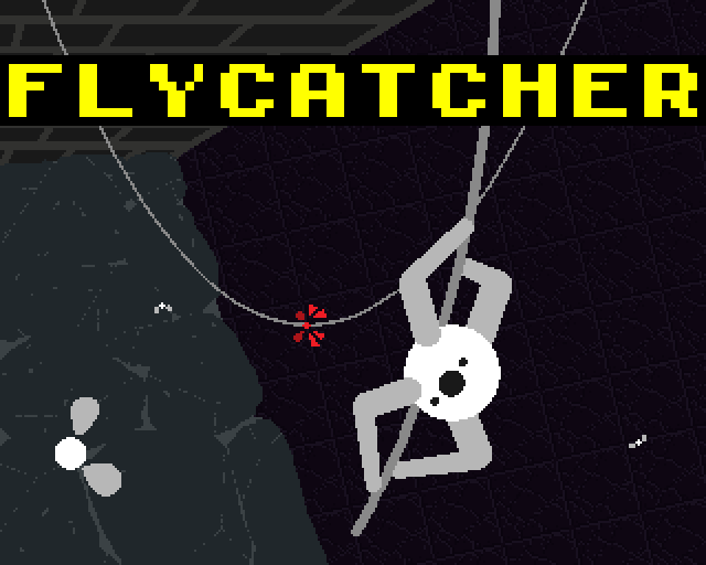 Cover image for Flycatcher