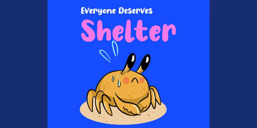 Cover image for Everyone Deserves Shelter