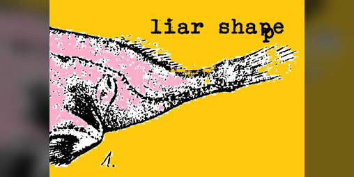 Cover image for liar shape
