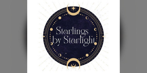 Cover image for Starlings by Starlight